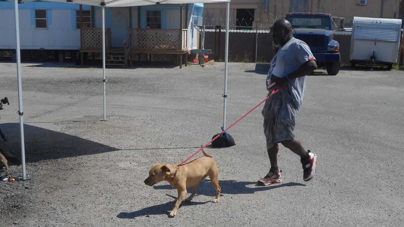 Earl walks the dog away from a trailer the during meet and greet. – Bild: Animal Planet /​ Discovery Communications