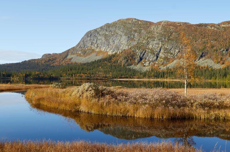 Der Herbst scheint in Norwegen sehr vielversprechend zu sein. – Bild: Maramedia /​ Der Herbst scheint in Norwegen sehr vielversprechend zu sein.