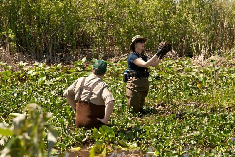 Brennan (Emily Deschanel, r.) versucht die Identität eines Mannes zu klären, dessen sterblichen Überreste in den Sümpfen der Everglades in Florida gefunden wurden. – Bild: Universal TV