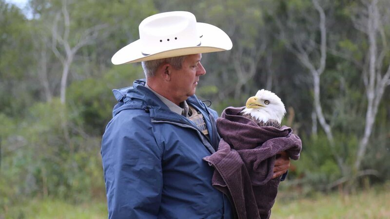 Warden Mike Boone holding an injured bald eagle – Bild: Discovery Communications