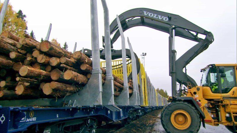 Bildunterschrift: Fast 3.000 Tonnen Holz befördern die Züge von Hector Rail täglich. – Bild: WELT