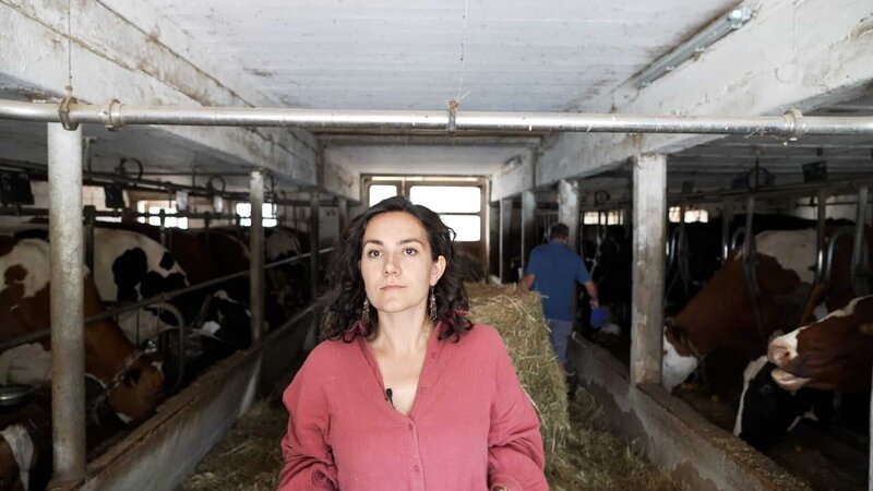 rec. Vegetarisch vs. Fleisch essen – Die Kontroverse auf dem Land Rahel Lenz in einem Kuhstall Copyright: SRF – Bild: SRF
