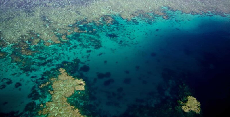 Ribbon Reef, Großes Barriere Riff. – Bild: ORF/​BBC/​James Brickell