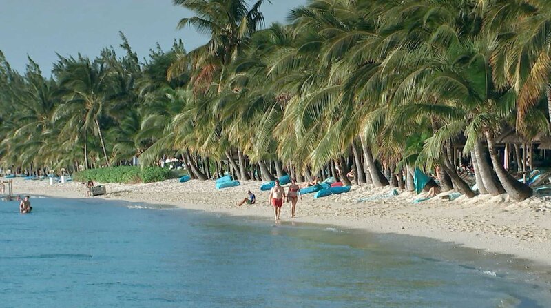 Buntes Mauritius – Bild: ZDF und HR.
