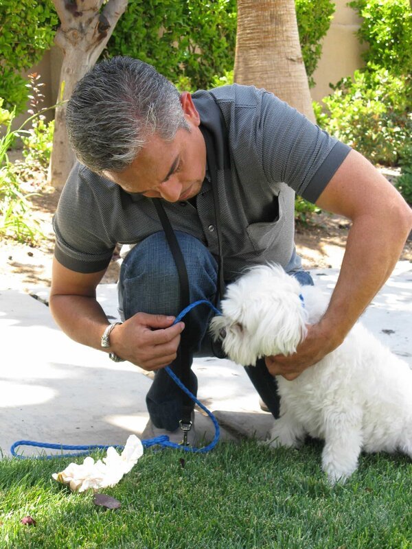 Für Cesar Millan geht es nicht nur darum, Hunde auszubilden – es ist vielmehr ein Training für Hundebesitzer. – Bild: Rive Gauche Intern. Television Lizenzbild frei