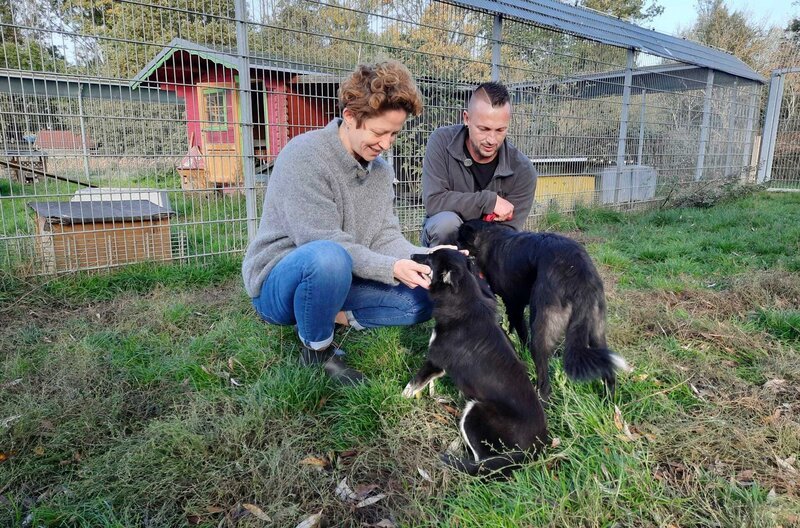 Hundetrainerin und Tierheimmitarbeiter (Karin Siska l.) Foto für alle Folgen – Bild: MDR/​ariane film