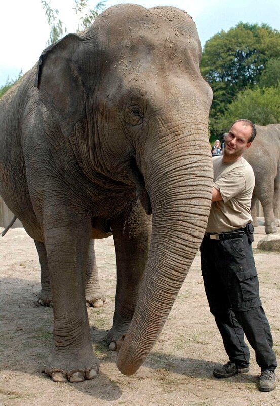 Pfleger Michael Adler bei seinen Elefanten. – Bild: BR/​WDR/​Melanie Grande/​Melanie Grande