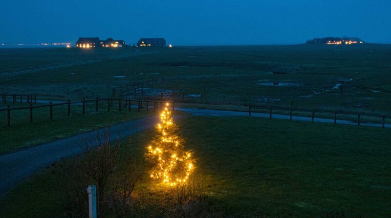 Heiligabend auf der Hallig Langeneß. Hier wird es schon um vier Uhr nachmittags dunkel. Einzige Lichtquelle: Ein Tannenbaum auf der Warf. – Bild: BR/​NDR/​Manfred Uhlig