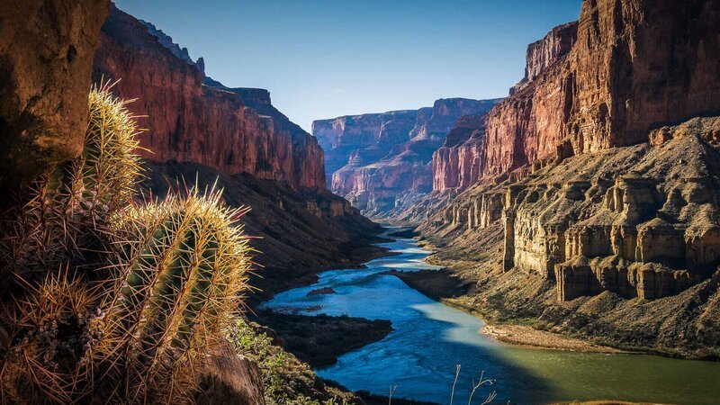 Eine Aufnahme des Grand Canyon; im Vordergrund ein Kaktus. – Bild: ZDF und Tobias Lenz