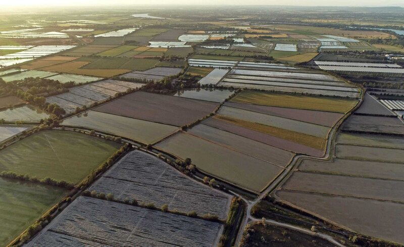 Von der Rhône bewässerte Reisfelder in der Camargue. – Bild: HR/​SWR/​AMP