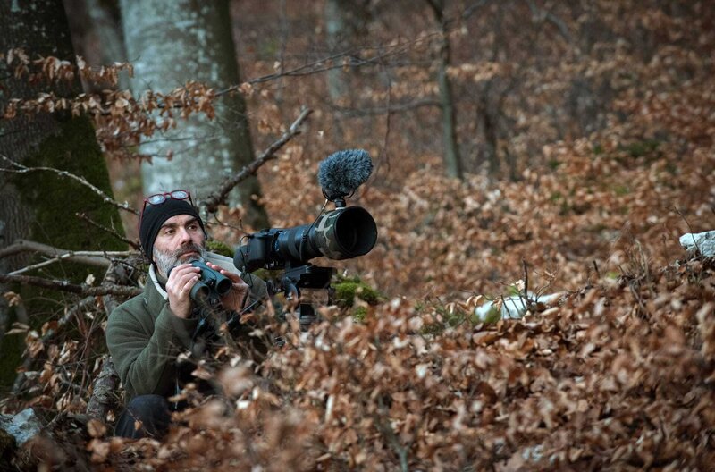 Luchs – Bild: Laurent Geslin /​ © Laurent Geslin