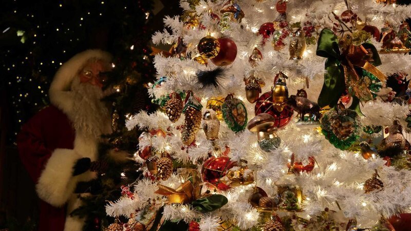 Heute muss der Weihnachtsbaum glitzern und funkeln. – Bild: ZDF und Friedemann Hottenbacher.