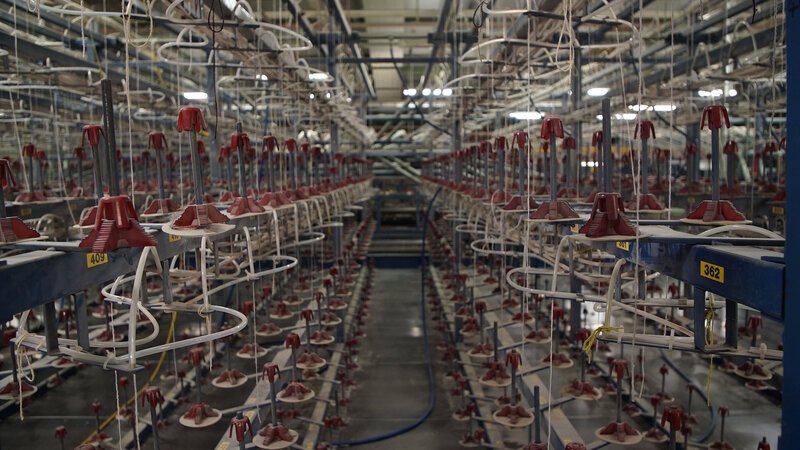 In der Ulster Carpets-Fabrik in Nordirland entstehen wöchentlich über vierzigtausend Quadratmeter Teppich. – Bild: BILD