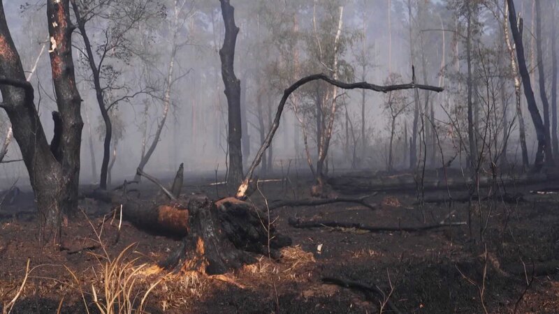 Unmittelbar während des Waldbrands entstehen Emissionen, die auch die menschliche Gesundheit beeinträchtigen können. – Bild: N24 Doku