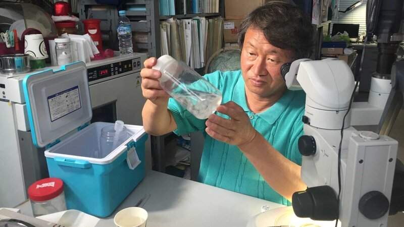 Biologist Shin Kubota studying Turritopsis dorhnii – the immortal jellyfish – at his lab in Kyoto Japan. – Bild: Science Channel /​ Photobank 35032_ep702_001.jpg /​ Discovery Communications