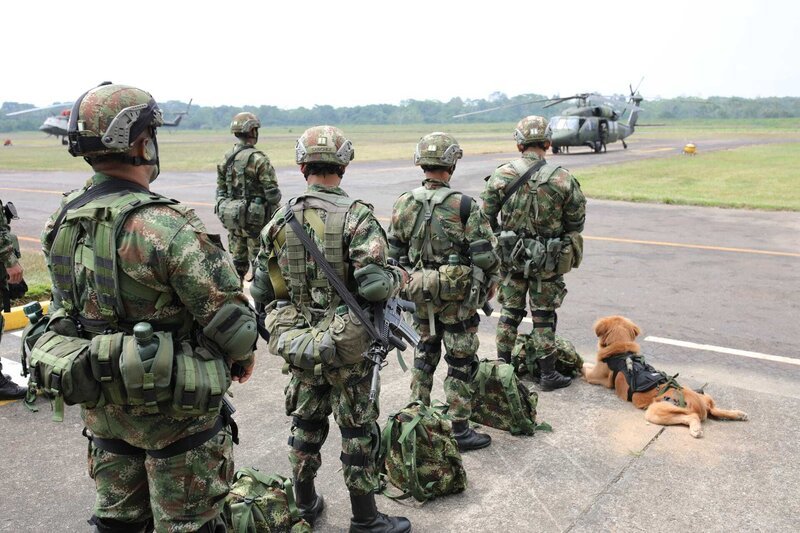 The Colombian Army continue to shut down the cocaine processing labs that still exist in Colombia. (National Geographic/​Will West) – Bild: Will West /​ National Geographic/​Will West /​ National Geographic