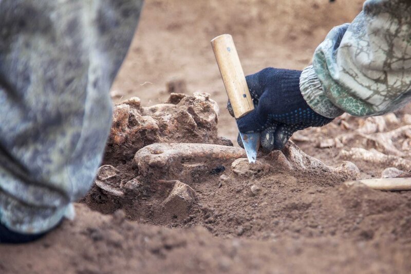 Archaeological excavation – Bild: Shutterstock