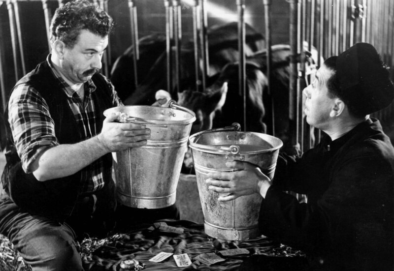 Manchmal müssen Don Camillo (Fernandel) und der grantige Peppone (Gino Cervi) eben doch zusammenarbeiten: zum Beispiel im Kuhstall. – Bild: SWR/​ARD Degeto