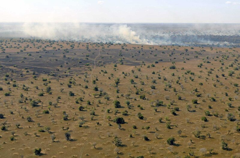 In der Trockenzeit wird das Buschland zum Pulverfass: Die Buschfeuer zerstören jedes Jahr mehrere tausend Hektar an Lebensraum. – Bild: Marius Van Graan /​ © Marius Van Graan