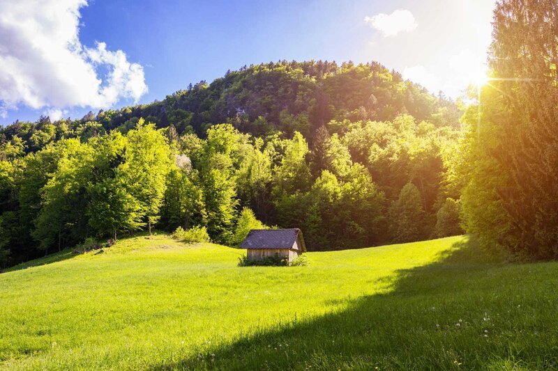 a cabin in the woods – Bild: Shutterstock /​ Shutterstock /​ Copyright (c) 2021 DaLiu/​Shutterstock. No use without permission.
