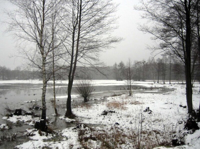Winter in Ostpreußens Zauberwald – Bild: HR/​rbb/​Wolfgang Wegner