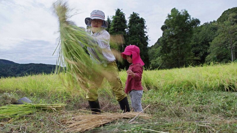 NZZ Format Reisfeld statt Tokio – Japans junge Landfrauen Tamami Shigitani arbeitet als Bäuerin in einem abgelegenen Bergdorf in Japan. – Bild: SRF/​NZZ Format