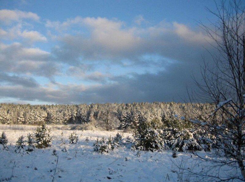 Landschaft in der Rominter Heide. – Bild: HR/rbb/Wolfgang Wegner Landschaft in der Rominter Heide. – Bild: HR/rbb/Wolfgang Wegner