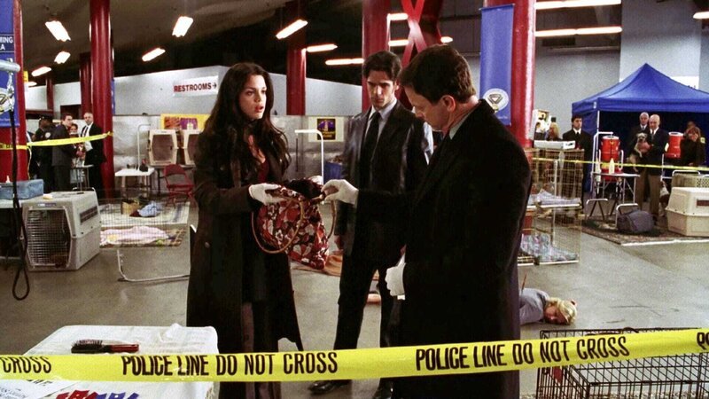 Detective Aiden Burn (Vanessa Ferlito), Detective Don Flack (Eddie Cahill, M.), Detective Mac Taylor (Gary Sinise). – Bild: RTL /​ CBS-Studios