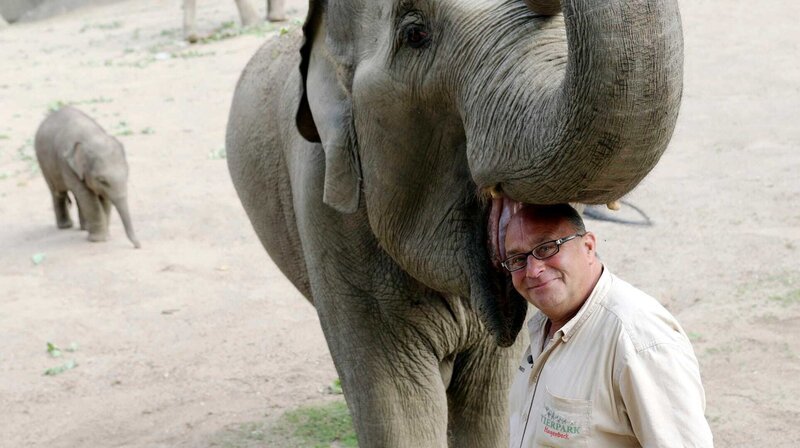 Köhrmann Elefantenpfleger in 4. Generation – Bild: NDR/​Doclights