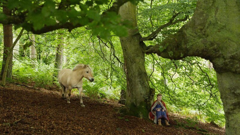 Während einer Pause im Wald nähert sich Gudrun (Sophie Ryder) ein freilaufendes Fjordpferd. – Bild: WDR/​Maramedia/​BBC/​CBeebies