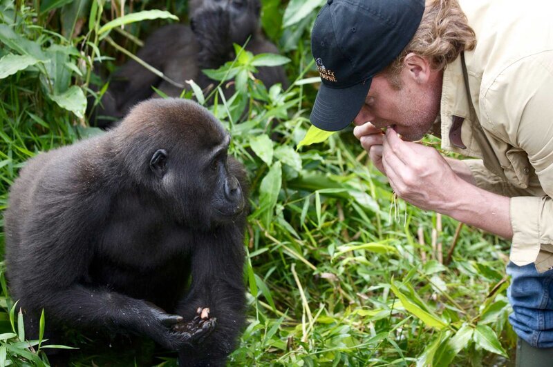 Damian Aspinall mit Gorilla – Bild: Copyright: Discovery Communications, Inc. For Show Promotion Only