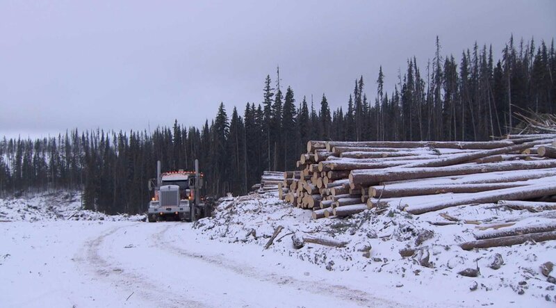 The drive from Porcupine Mountain to the sawmill takes around an hour and a half under optimal conditions. – Bild: Bell Media. /​ Bell Media. /​ Bell Media.