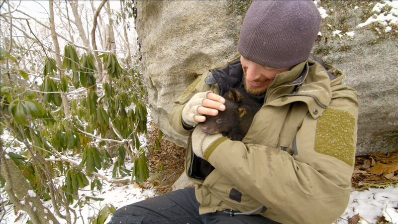 Präsentator Chris Morgan begleitet eine Forschergruppe zur Höhle von Schwarzbären. – Bild: ZDF und Mark Carroll.