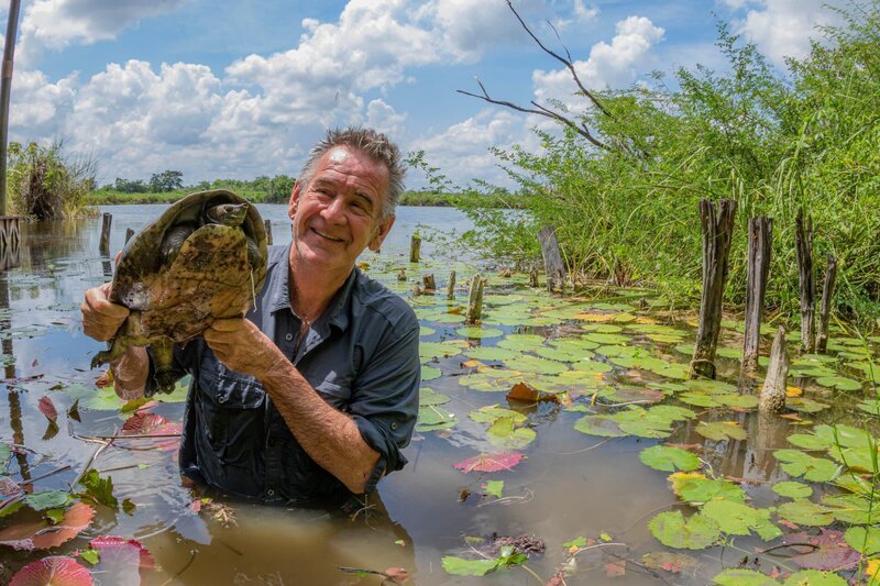 Nigel hat eine Tabascoschildkröte gefunden. Diese Art ist nahezu ausgestorben. – Bild: ZDF und Andres Novales.