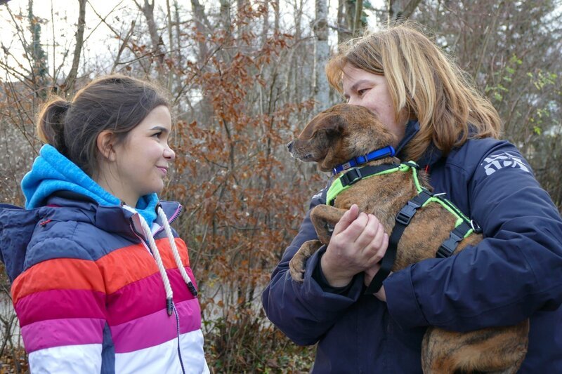 Allen Hunden, die ausgeladen werden, legt Heide als erstes ein Sicherheitsgeschirr an. – Bild: BR/​TEXT + BILD Medienproduktion GmbH & Co. KG