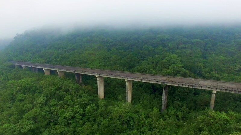 Bildunterschrift: Inmitten des brasilianischen Urwalds ragt eine Brücke über den Baumkronen hervor. Das Kuriose: Sie endet im Nichts. – Bild: WELT