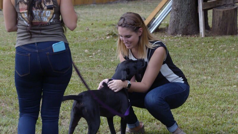 (JASKO ADOPTION) Adopter and dog at home check. – Bild: Animal Planet /​ Discovery Communications
