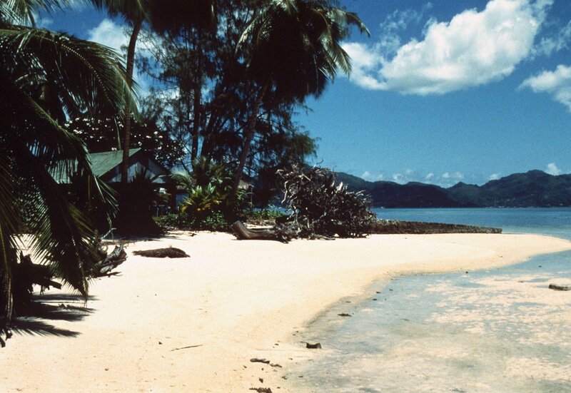 00 Uhr. Die bekanntesten Vertreterinnen der faszinierenden Pflanzenwelt der Seychellen – die Palmen. – Bild: HR/​NDR/​J. Hinz