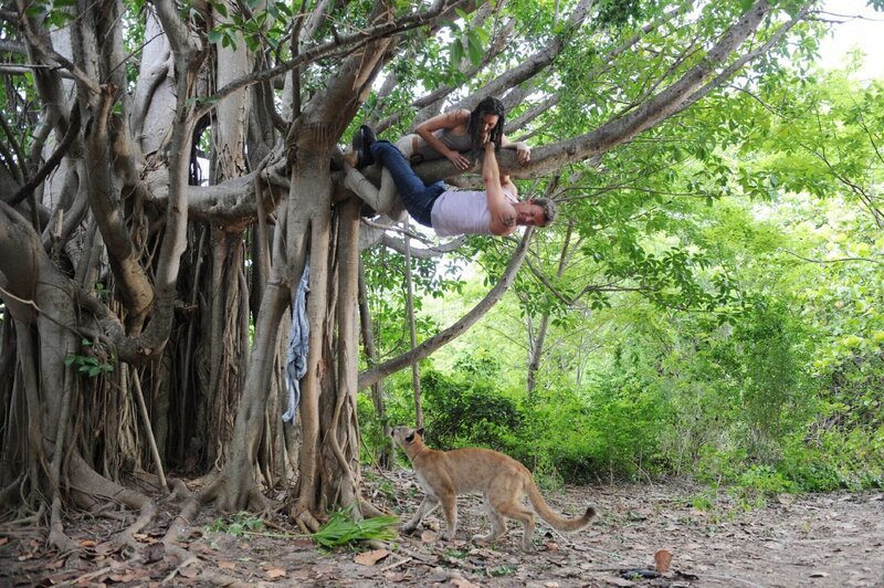 Jennifer (Taylor Cole) und Jim (Matt Passmore) haben sich auf der Flucht vor einem wilden Panther auf einen Baum gerettet und sitzen nun fest … – Bild: RTL