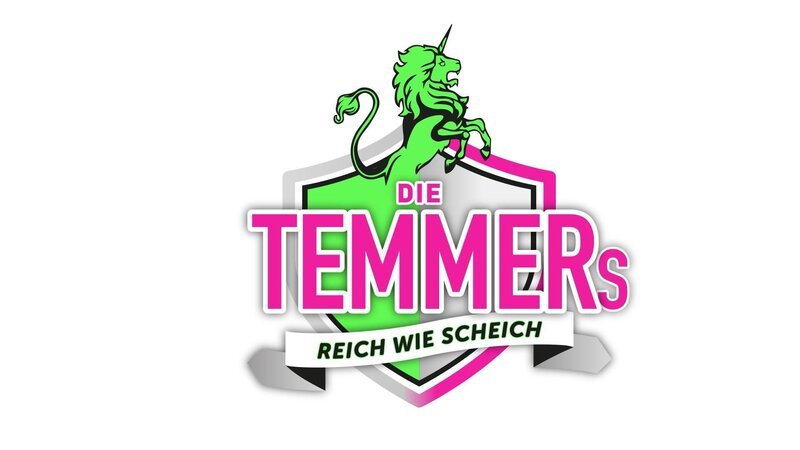 Die Temmers – Logo – Bild: Dieses Bild darf ausschließlich zur Programmankündigung, nicht zur sonstigen redaktionellen Berichterstattung verwendet werden.