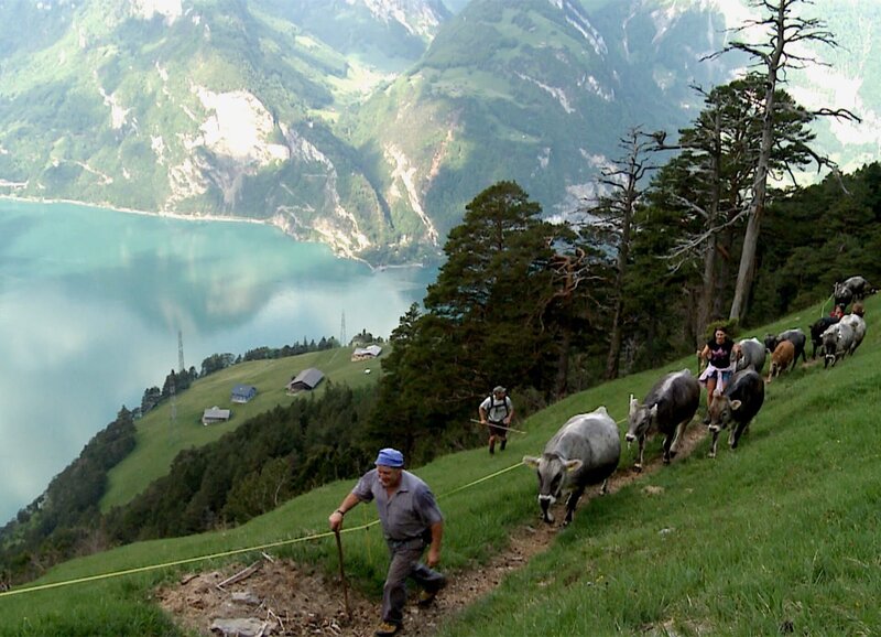 Der Wildheuer - Senkrecht über dem Urnersee – Bild: ZDF und SRF