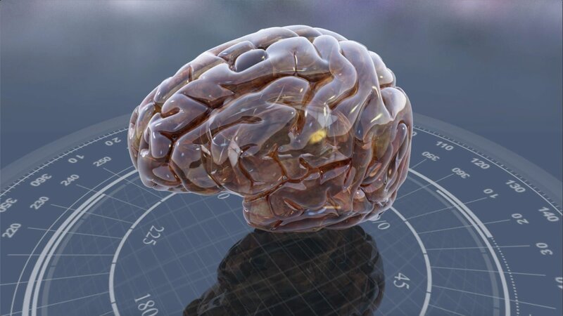 Das Gehirn des Neandertalers – Bild: CuriosityStream-Inc