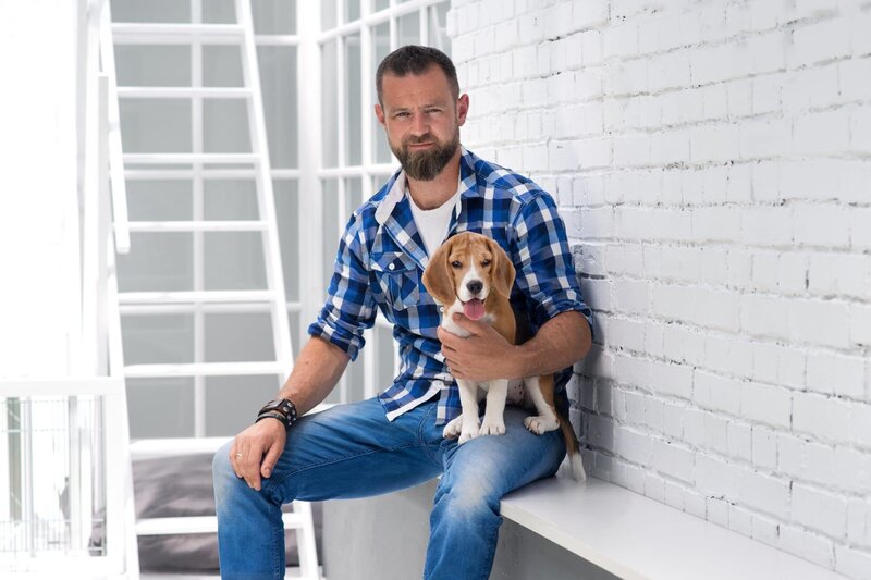 Der Welpentrainer Auf Die Pfoten Fertig Los Der Welpentrainer – Auf die Pfoten, fertig, los! S09E07: Folge 69