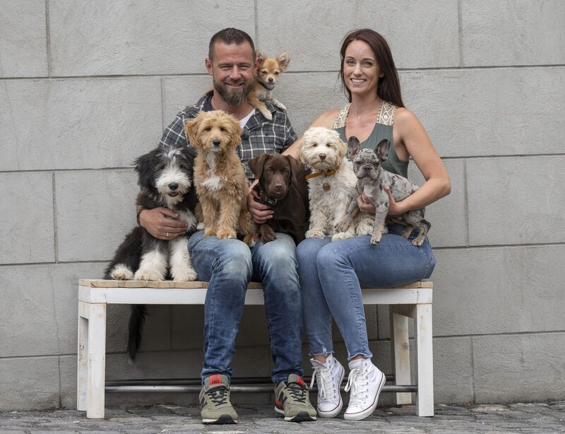 Der Welpentrainer Auf Die Pfoten Fertig Los Der Welpentrainer – Auf die Pfoten, fertig, los! S09E02: Folge 64