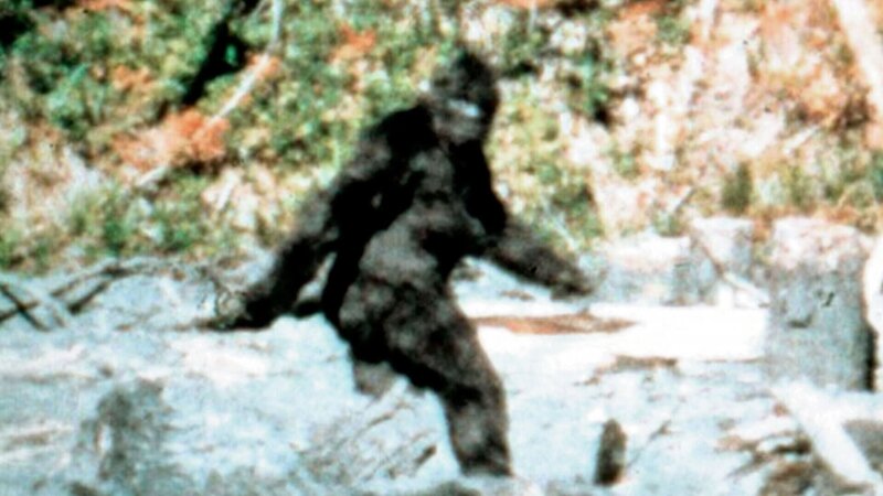 Bigfoot – Bild: THE HISTORY CHANNEL /​ A+E Networks