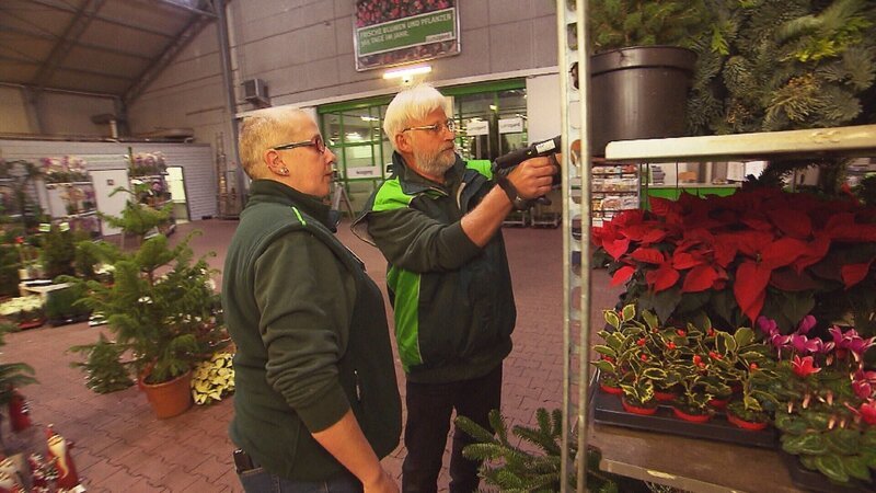 Im Blumengroßhandel scannt Undercover Boss Dirk Bader alias Alfred Bauer Ware. Eingewiesen wird er von Mitarbeiterin Anja Seibert. – Bild: RTL