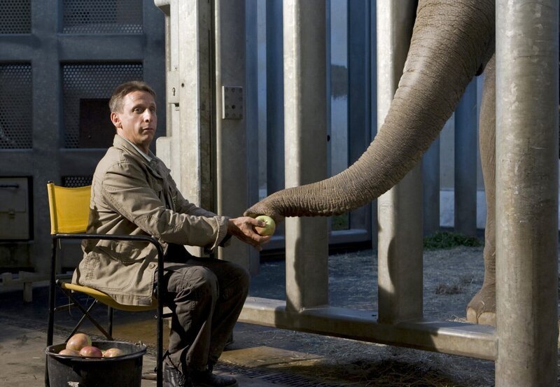 Cheftierpfleger Conny (Thorsten Wolf) kümmert sich auch nachts hingebungsvoll um die kranke Elefantendame Don Chung. Ein Geräusch lässt ihn aufschrecken. – Bild: NDR/​ARD/​Olaf Raymond Benold