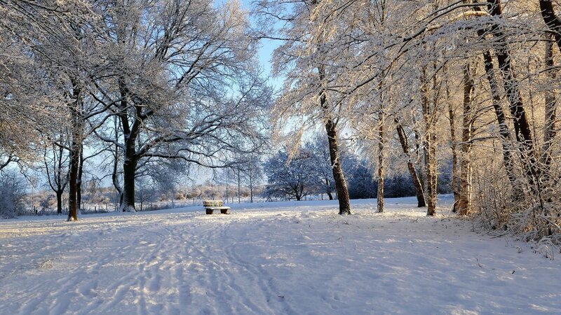 Generic picture of winter view – Bild: CC0 Creative Commons