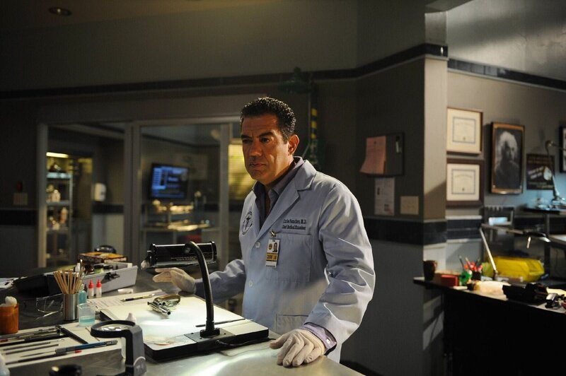 The Glades S04E04 Der tote Hengst der Liebe (Magic Longworth