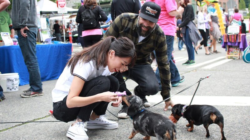 Grace Lee and Antonio Ballatore play with two Dachshunds. – Bild: Animal Planet /​ Discovery Communications